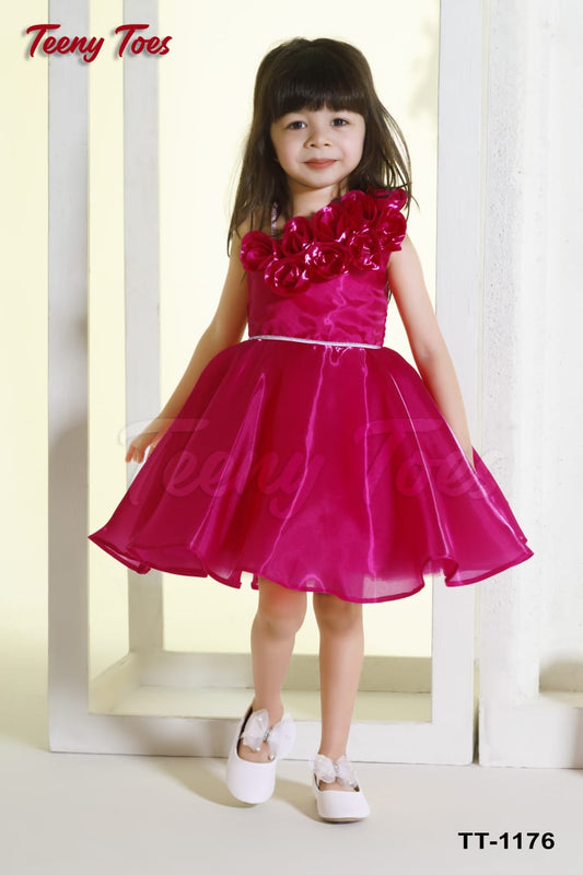 Girls Tissue Organza Party Frock