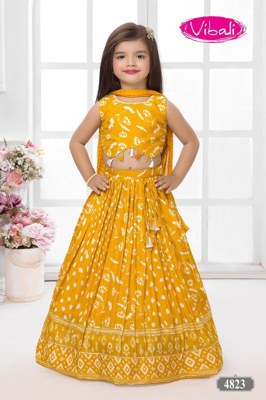 Vibali printed Yellow Choli Set