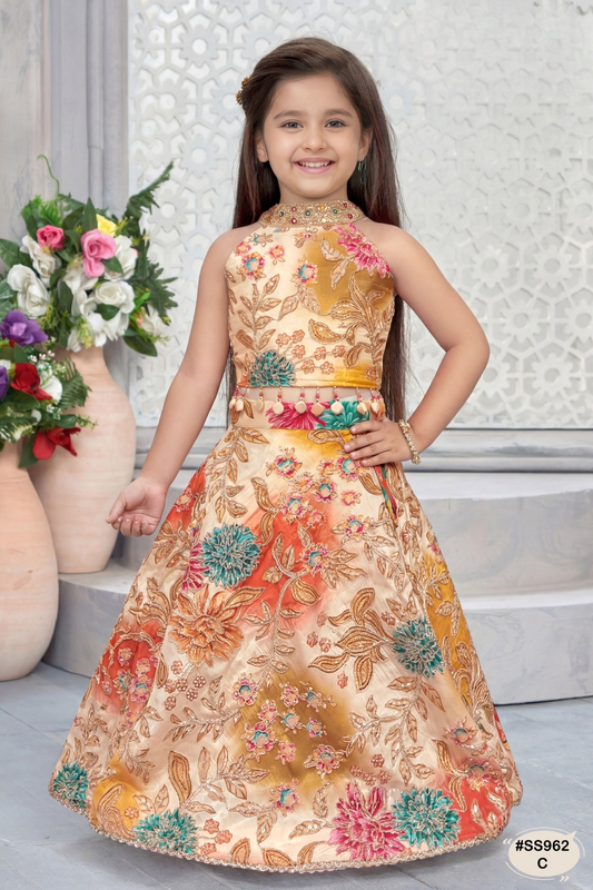 Girls Heavy Embriodery Work Choli