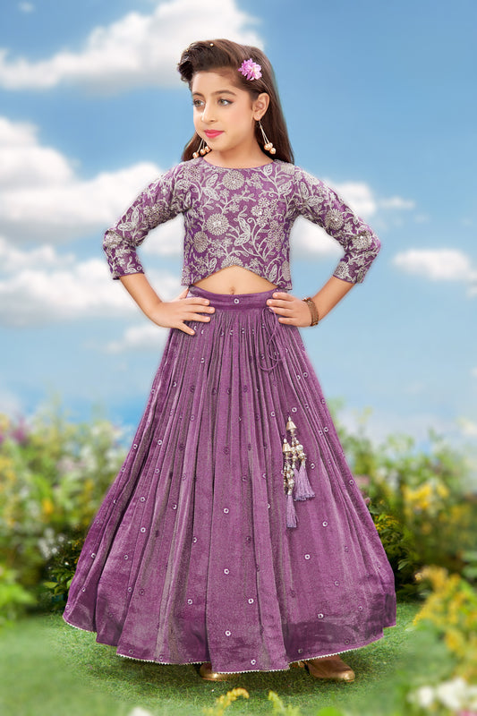 Era Wine colour Silk Choli Set
